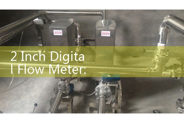 2 Inch Digital Flow Meter: Two-Inch LCD Smart Electronic Pipe Monitors